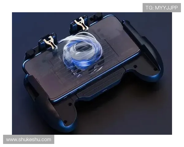 开云体育真人游戏如何进行高效的资金管理实现长期稳定盈利