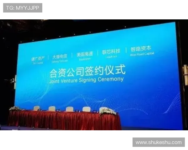 开云官方在线入口：官方授权的开云品牌在线购买入口全攻略