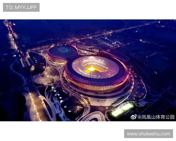 深度解析kaiyun体育与传统体育的结合，带来全新的体验与选择