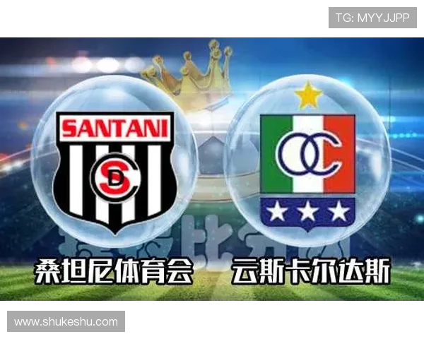 国际米兰赞助商开云体育娱乐官网对球队商业价值和市场影响力的提升作用