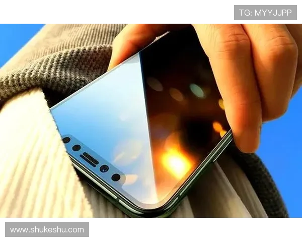 开云完美体育app手机安全保障措施解析，保障用户个人信息与资金安全的实用建议