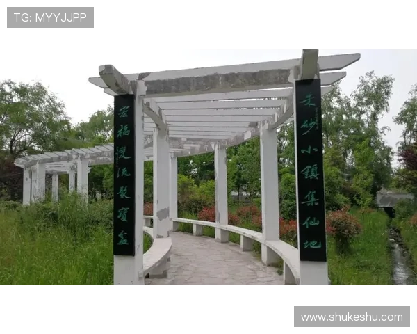 开云官方注册地址常见问题解答及注册流程全攻略